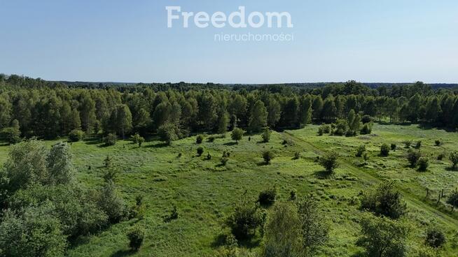 Działka 1685m2 przy lesie, Żółwia Błoć, Goleniów
