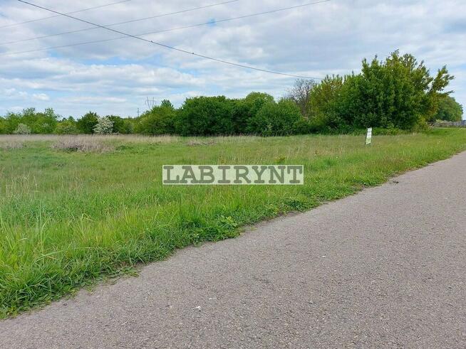 Działka 1,6 ha, ul. Drogowców, wymiary 65x230