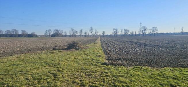 Sprzedam działki budowlane/inwestycyjne w Nieborowie