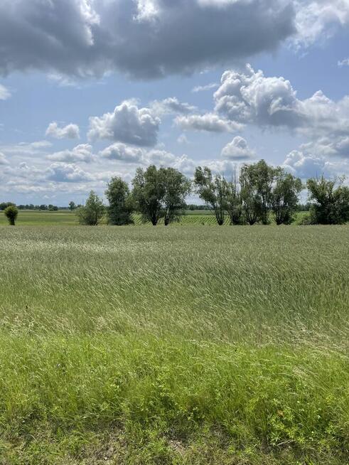 Działka mieszkaniowo-usługowa (MU) z MPZP 11,7ar