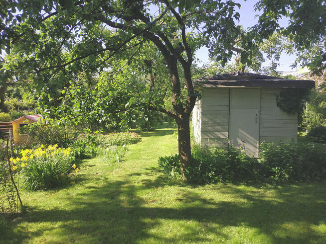 Odstąpię prawo do działki ROD