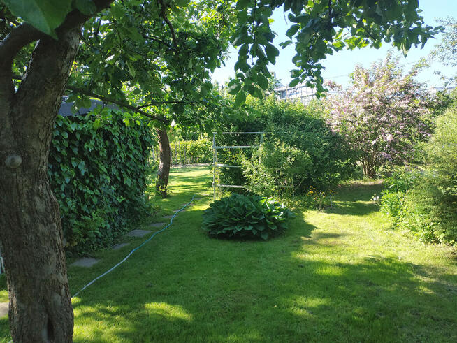 Odstąpię prawo do działki ROD