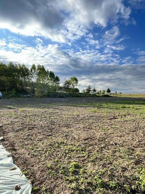 Sprzedam działkę budowlaną 40 arów