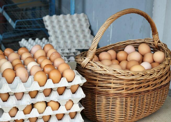 Jajka wiejskie od kur z wolnego wybiegu