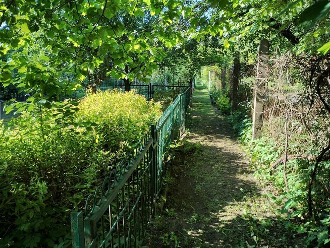 Działka ROD Warszawa Rembertów