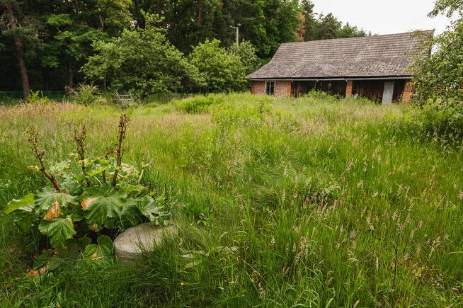 Działka 16,6 ar z budynkiem gospodarczym i stodołą