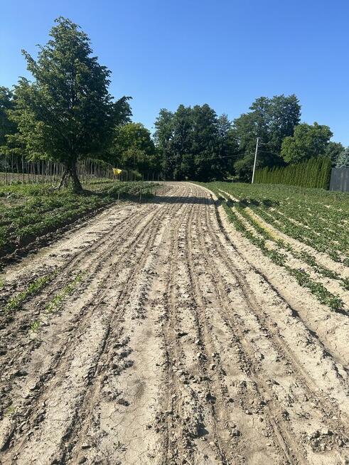 Działka rolna 21 arów Giebułtów gmina Wielka Wieś