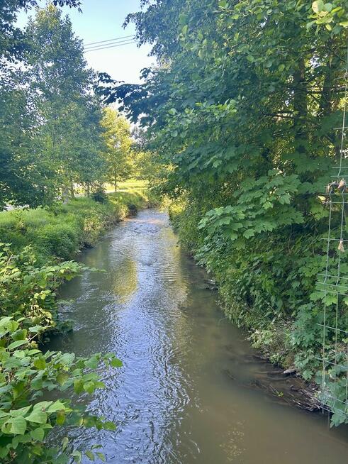 Działka rolna 21 arów Giebułtów gmina Wielka Wieś