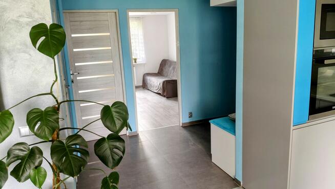 3-pokojowe mieszkanie po generalnym remoncie 57m2