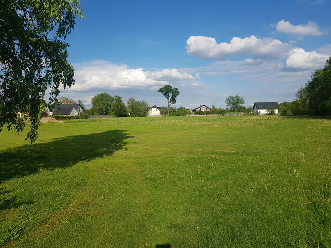 Wydzierżawie działke