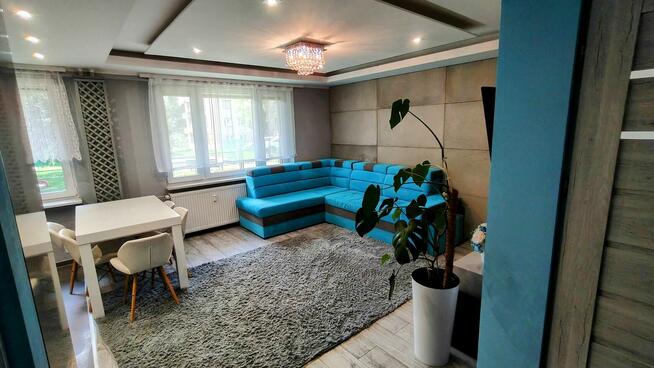 3-pokojowe mieszkanie po generalnym remoncie 57m2