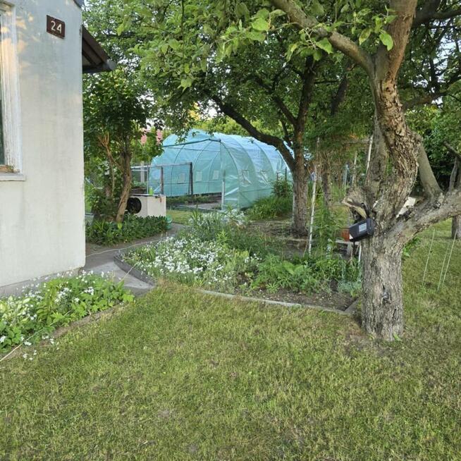Sprzedam ogródek z duszą – zielone schronienie w Kłobucku