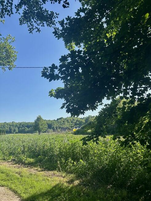 Działka rolna 21 arów Giebułtów gmina Wielka Wieś