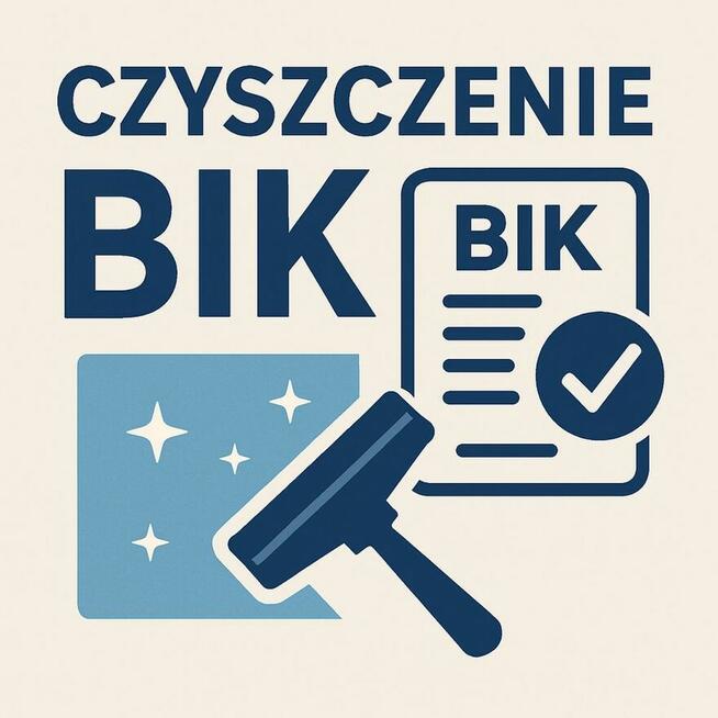 Usuwanie wpisów danych kredytów z BIK szybko