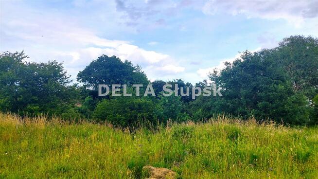 Działka Strzelino gm. Słupsk