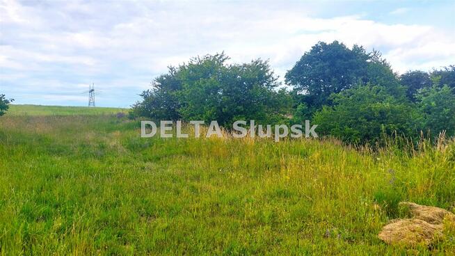 Działka Strzelino gm. Słupsk