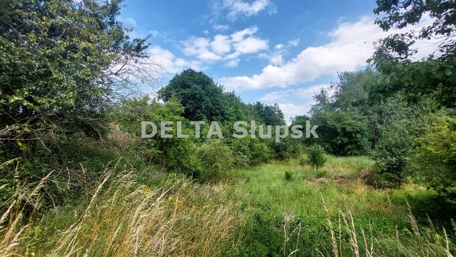 Działka Strzelino gm. Słupsk