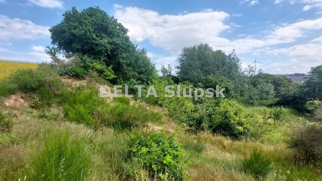Działka Strzelino gm. Słupsk