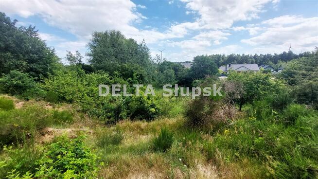 Działka Strzelino gm. Słupsk