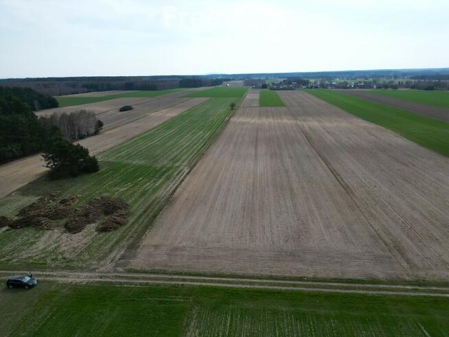 Działka rolna 1,5 ha, siedlisko Krosno Gorzkowcie