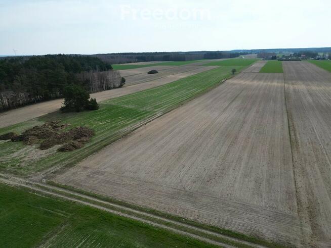 Działka rolna 1,5 ha, siedlisko Krosno Gorzkowcie