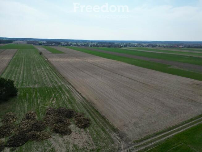 Działka rolna 1,5 ha, siedlisko Krosno Gorzkowcie