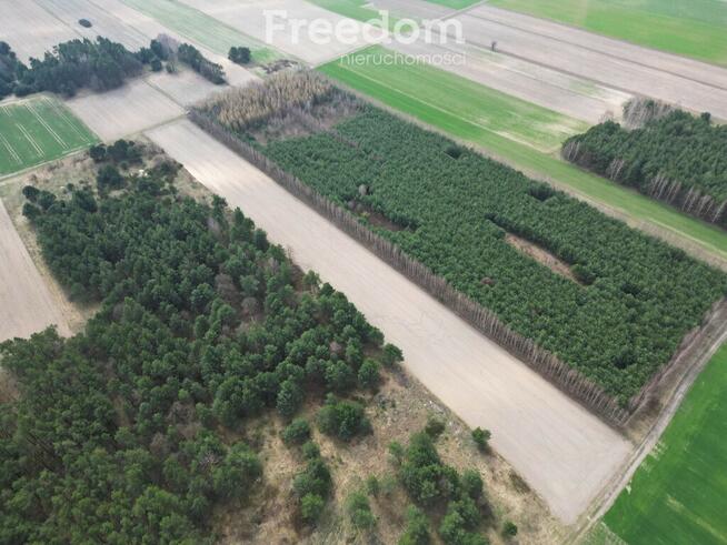 Działka rolna,siedlisko 4ha.Krosno gm.Gorzkowice