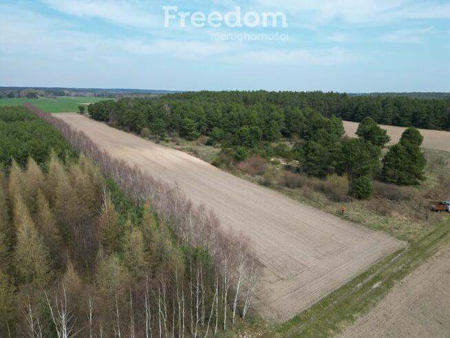 Działka rolna,siedlisko 4ha.Krosno gm.Gorzkowice