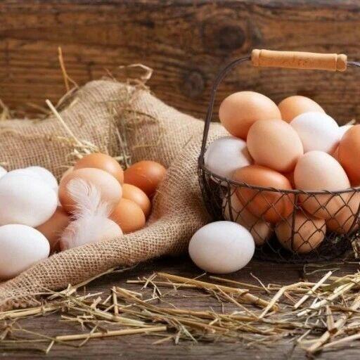 Jajka wiejskie od kur z wolnego wybiegu