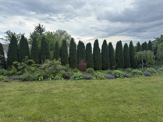 Ziębice - działki zabudowane domem +zabudowa gospodarcza