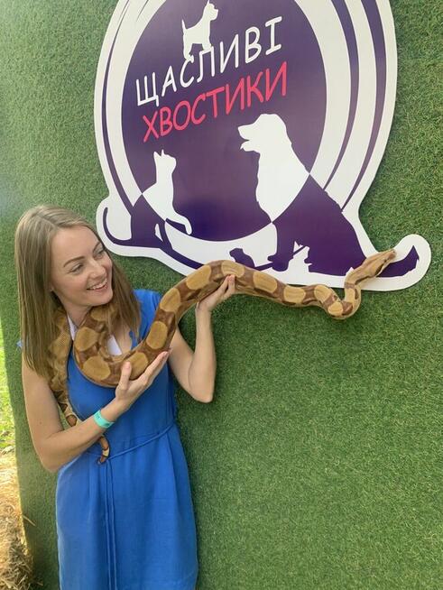 Szukam pracy jako Event/Project Manager
