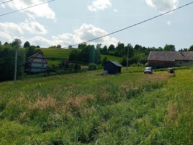 Działka budowlana w Limanowej