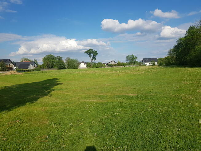 Wydzierżawie działke