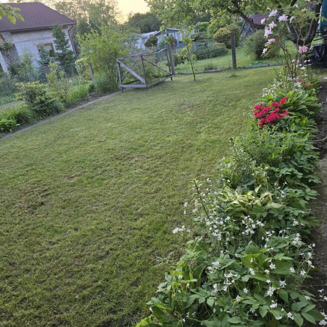 Sprzedam ogródek z duszą – zielone schronienie w Kłobucku