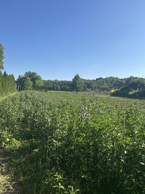 Działka rolna 21 arów Giebułtów gmina Wielka Wieś