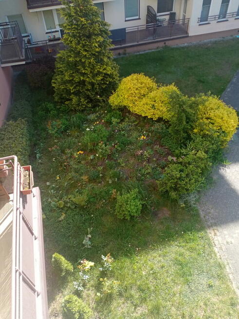 Wynajmę kawalerkę w Rumi blisko SKM