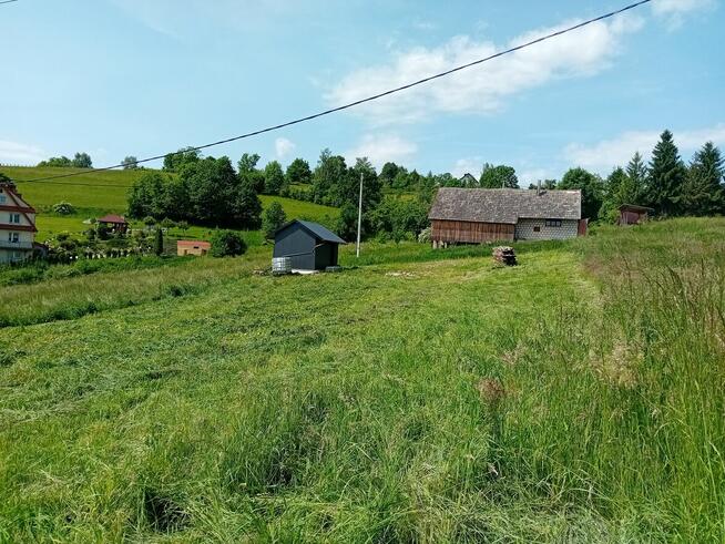 Działka budowlana w Limanowej