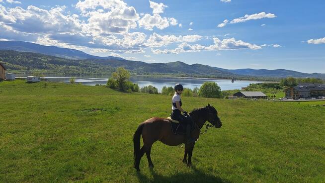 Jazdy konne wyjazdy w teren