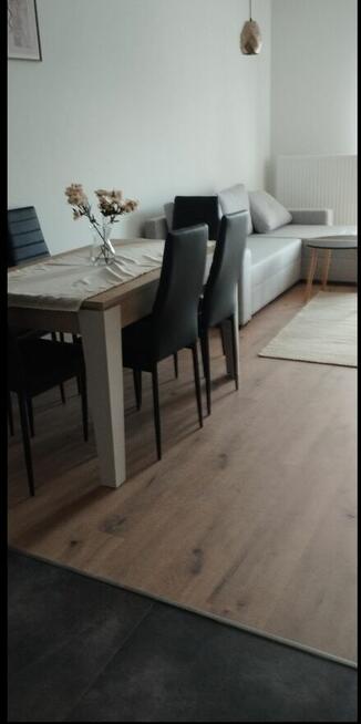 Wynajmę nowe mieszkanie