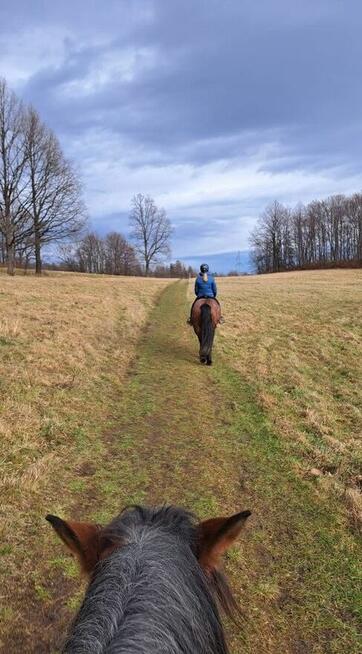 Jazdy konne wyjazdy w teren