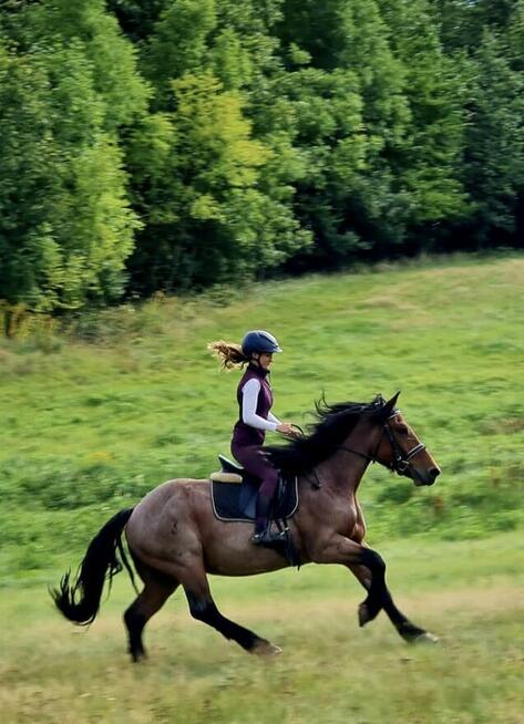 Jazdy konne wyjazdy w teren