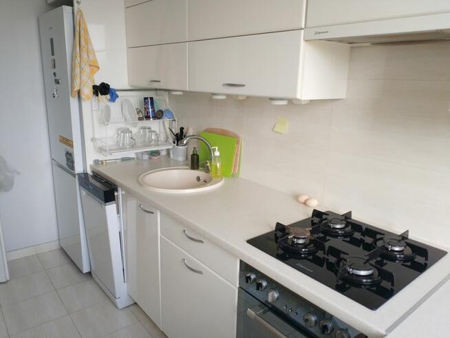 Pabianice Bugaj kupię 60-73 m2 - mieszkanie