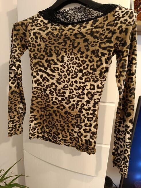 Sprzedam różne rzeczy