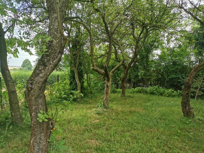 Cena = 2. 012.000 zł. zaCałą działkę 53ary, to realnaCena!!