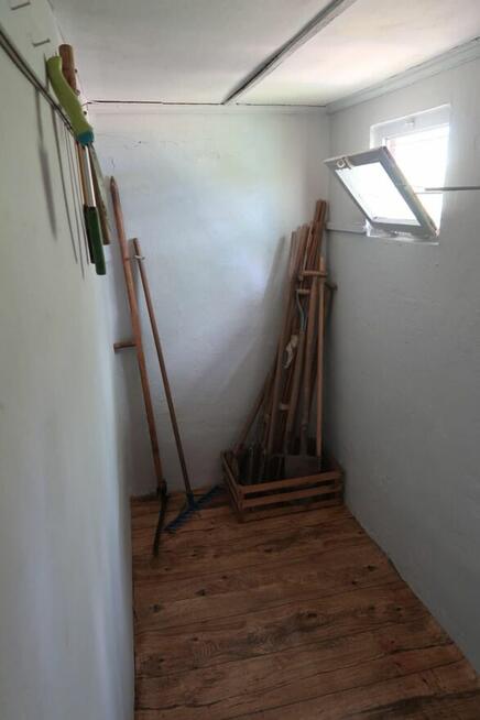 Dwie działki ROD przy lesie.