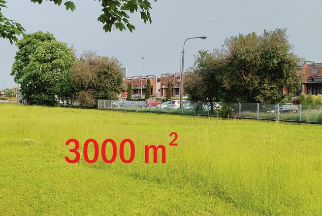 teren użytkowy do wynajęcia