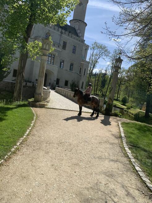 Jazdy konne wyjazdy w teren