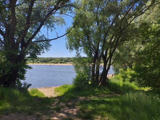 ogródek działkowy 280m2 nad Wisłą-tylko 40 działek-zamknięte