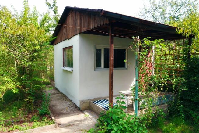 Dwie działki ROD przy lesie.