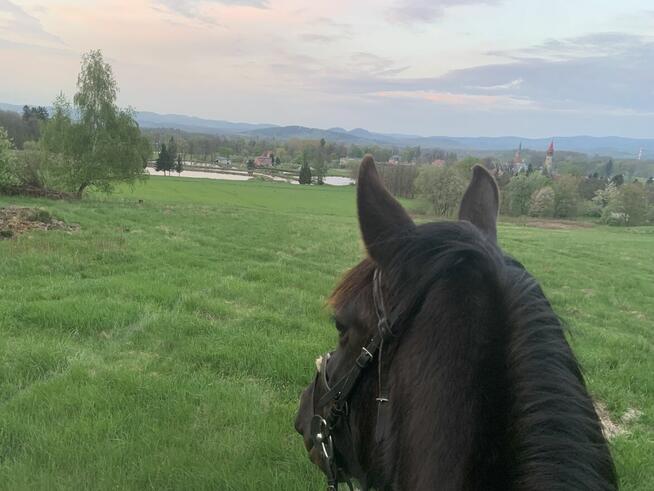 Jazdy konne wyjazdy w teren